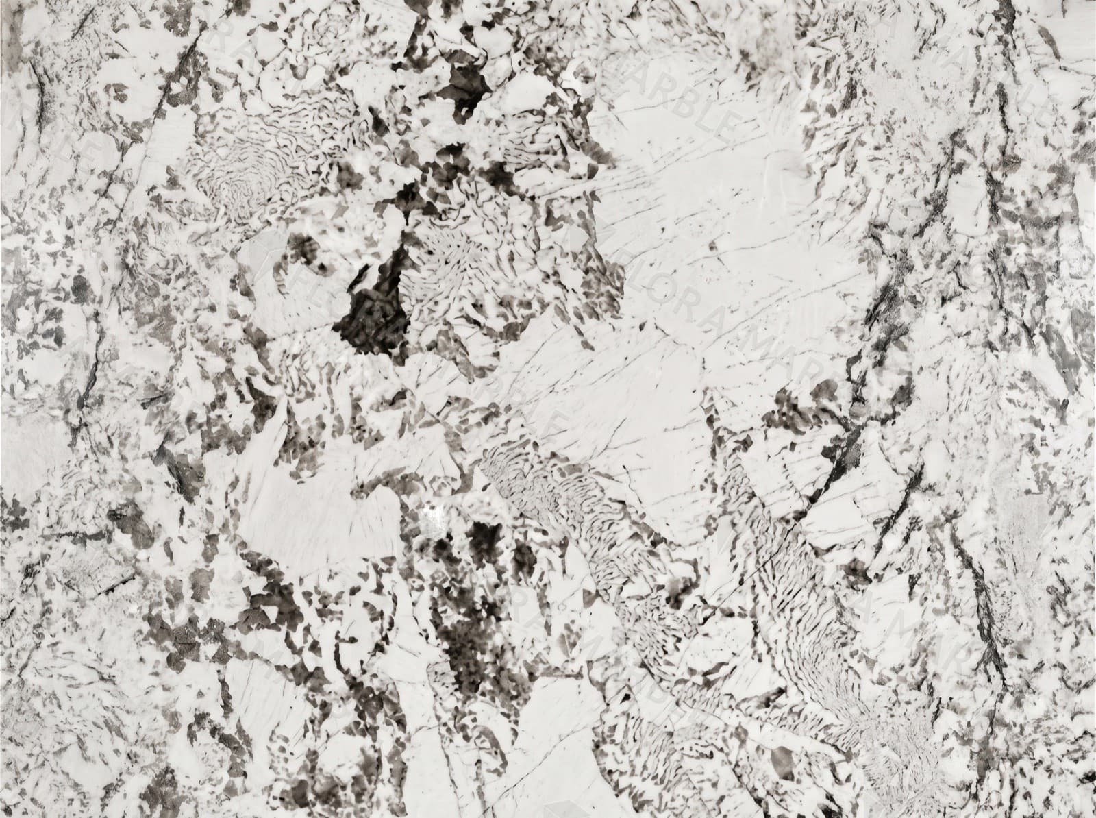 Alpinus