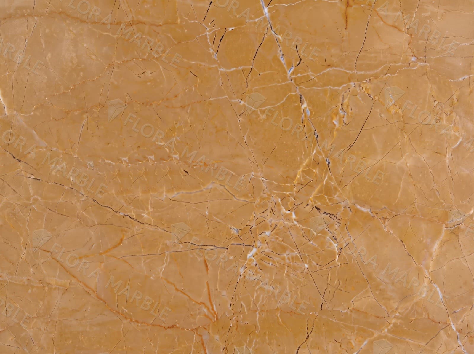 Antique Beige