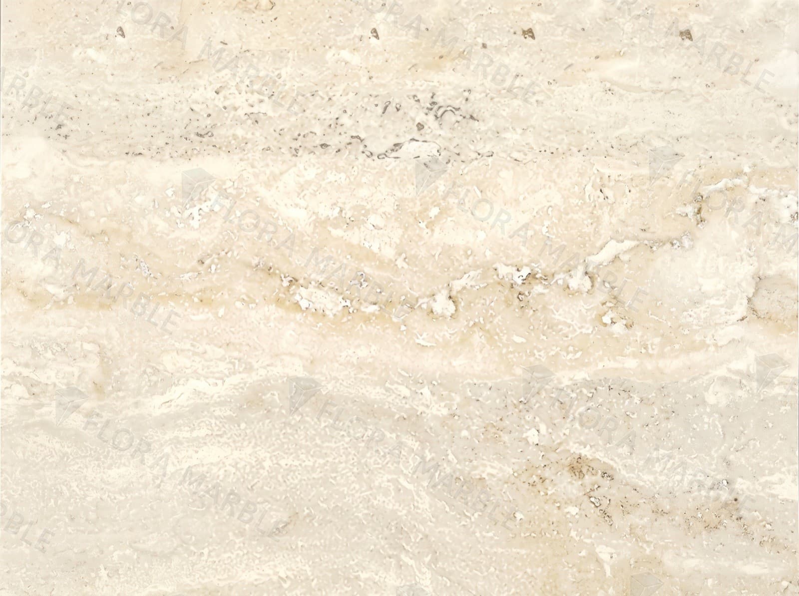 Bone White Travertino