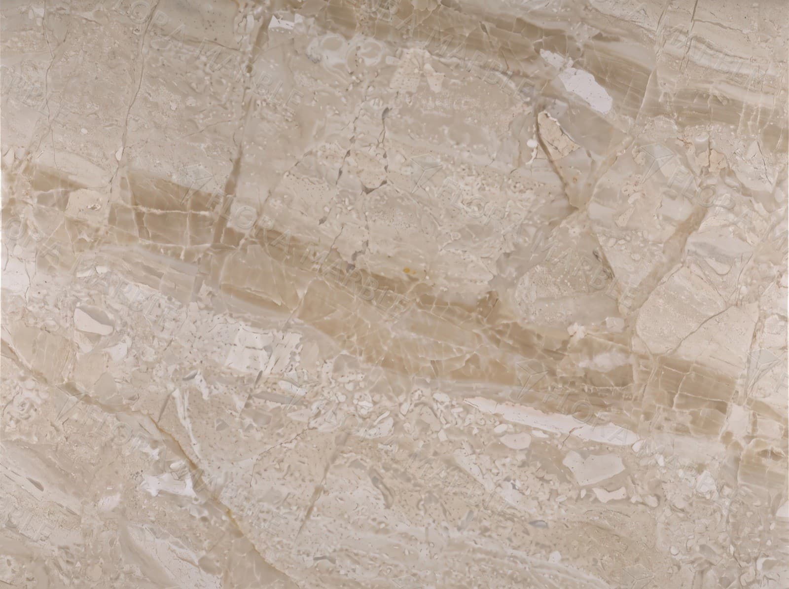 Breccia Novel