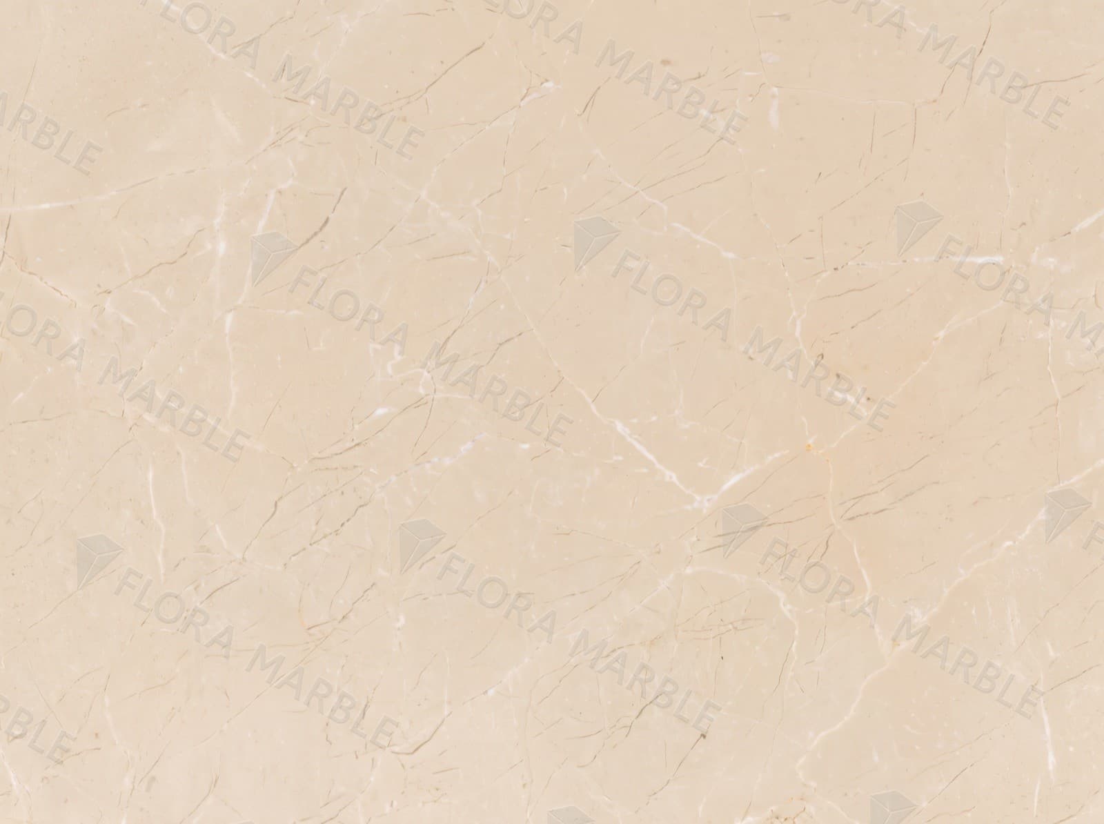 Burberry Beige