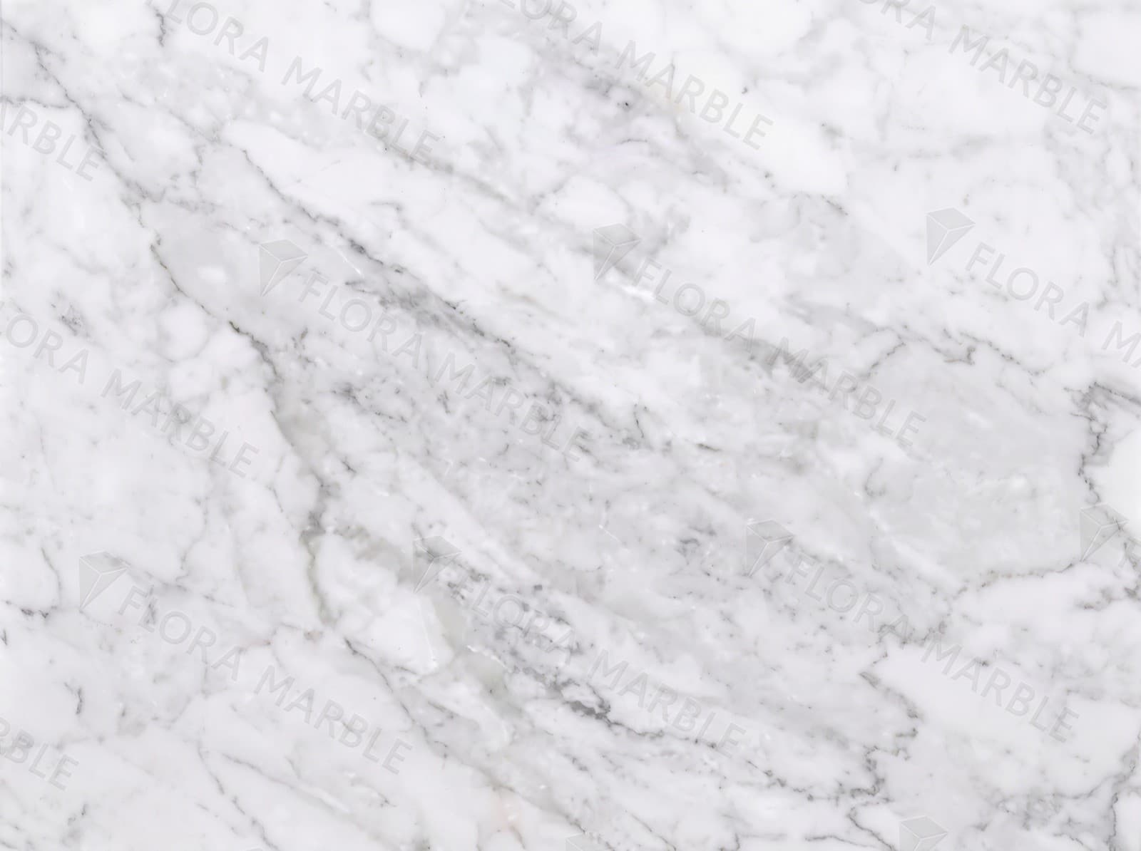 Carrara White