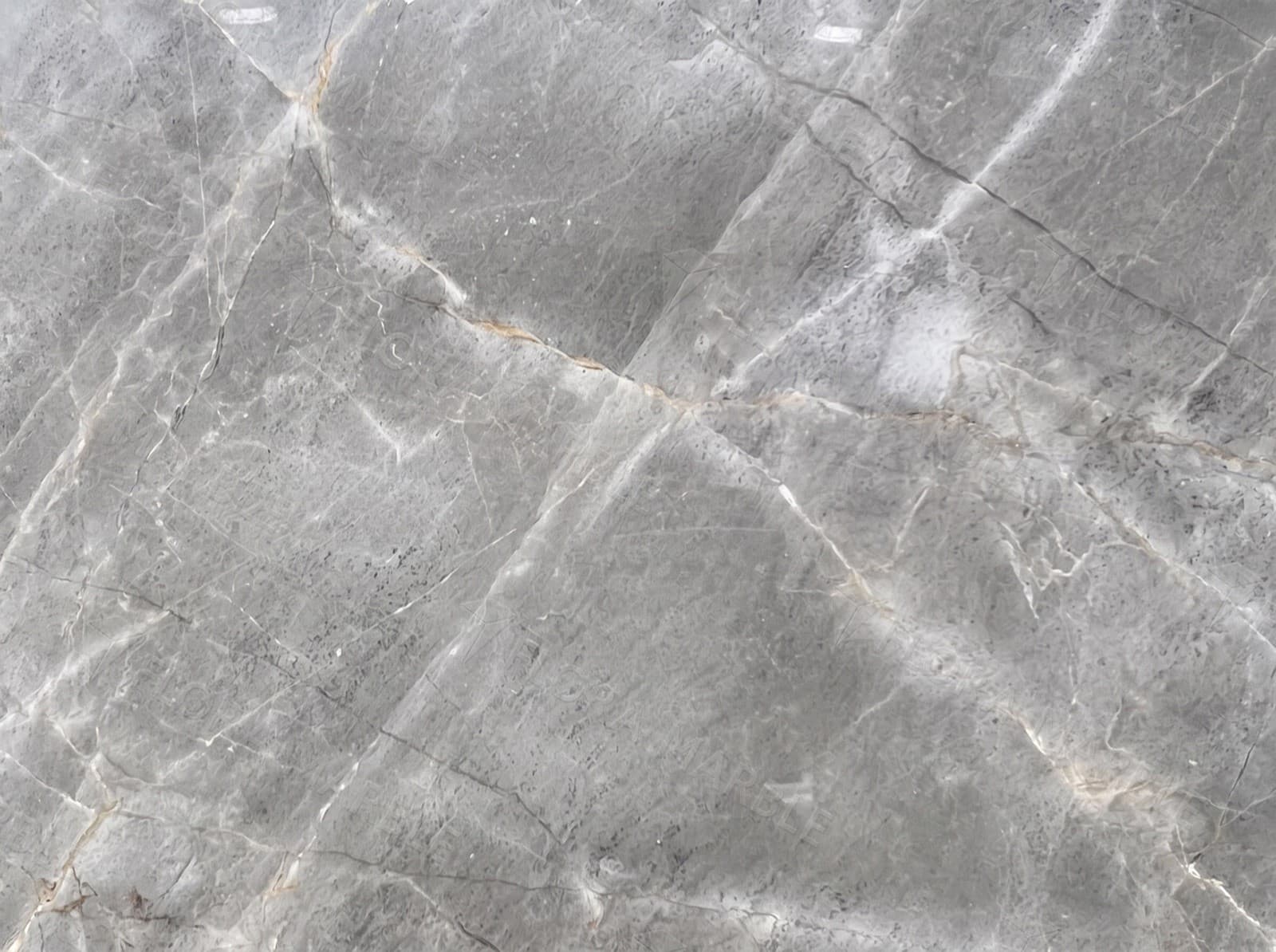 Fawn Grey
