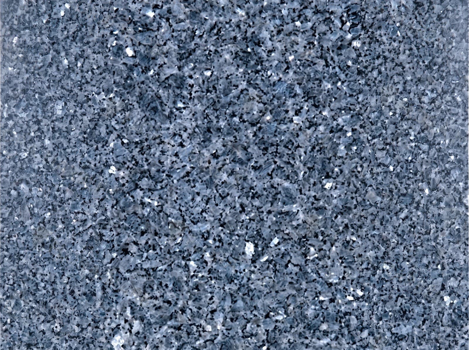Grey Pearl
