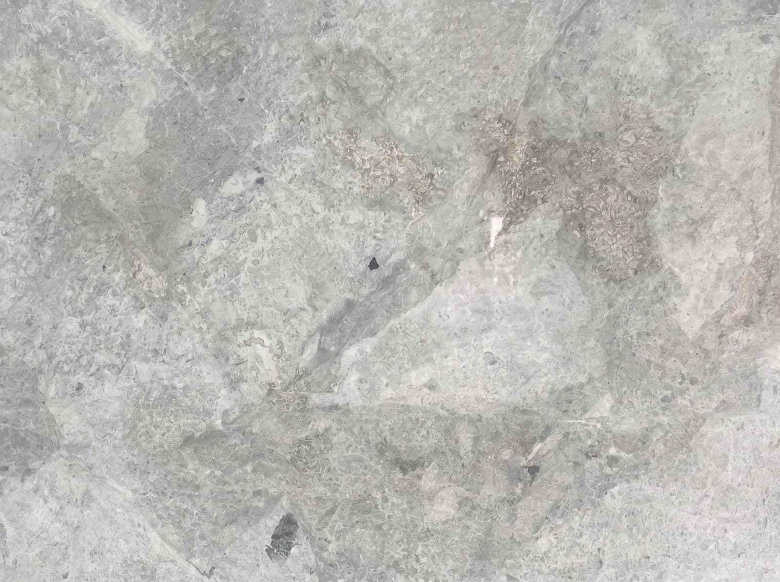 Ice Grey