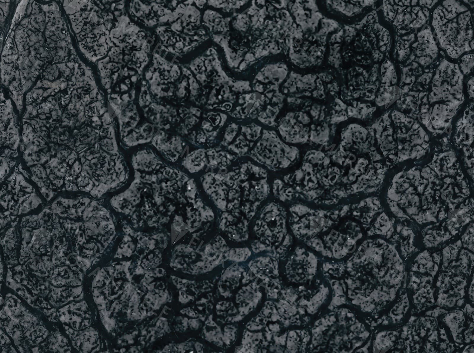 Oracle Black