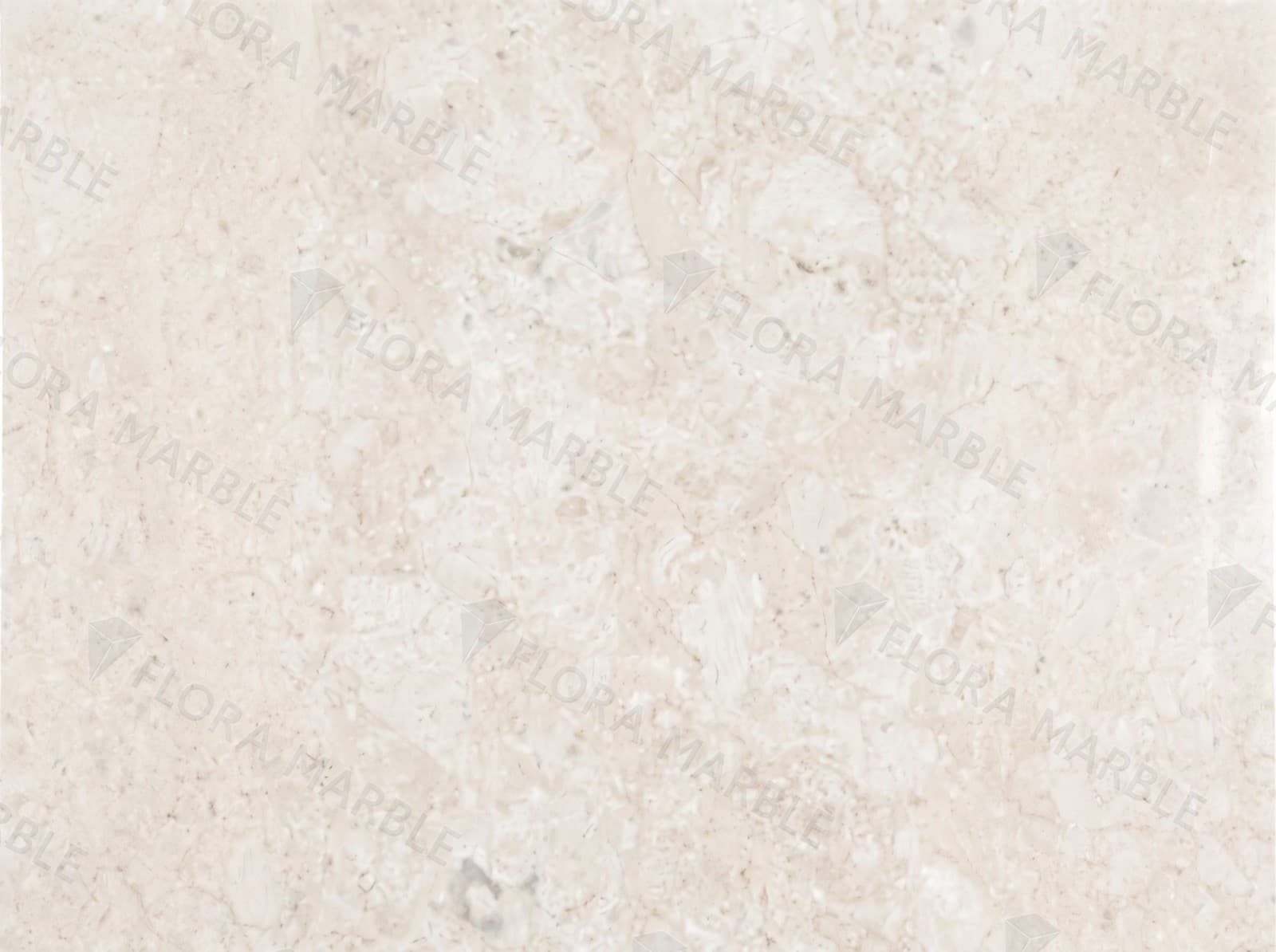 Royal Beige Light
