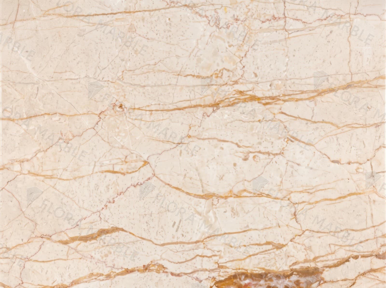 Sofita Beige