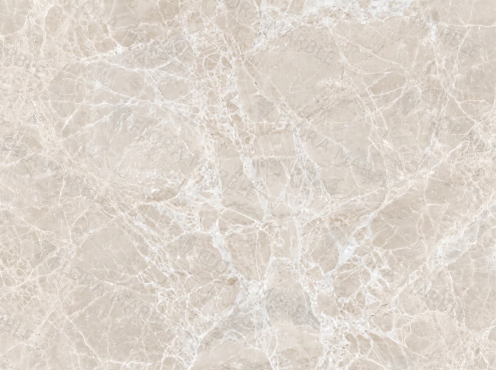 Spider Beige