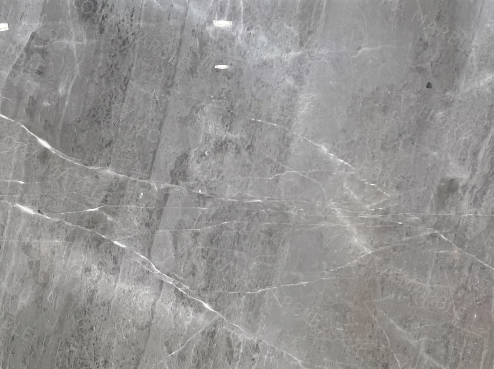 Taaj Grey