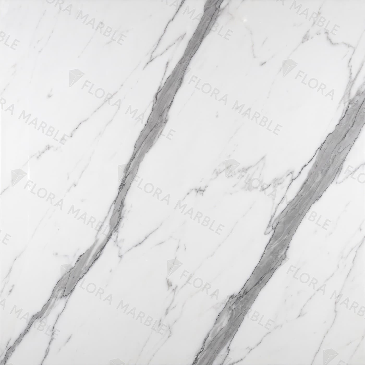 Statuario Venato