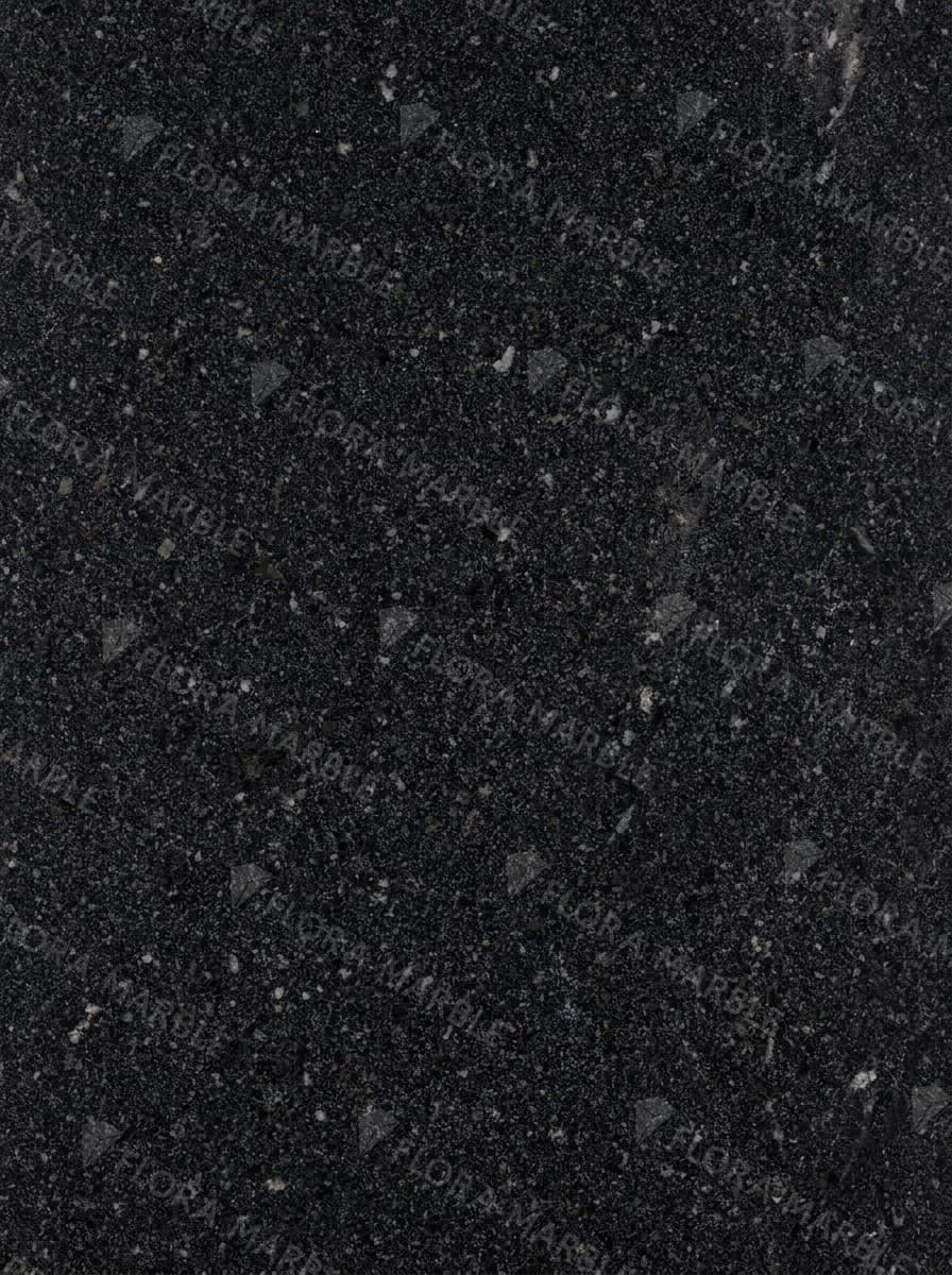 Cambrian Black