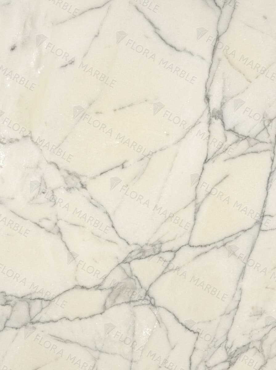 Mont Blanc Quartzite