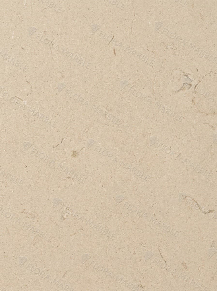 Ojinaga Limestone