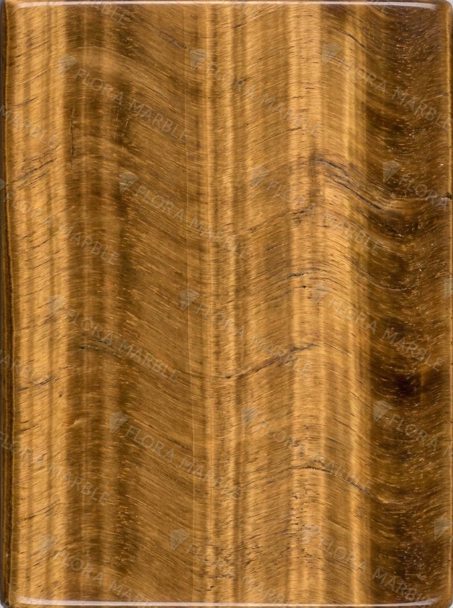 Tiger Eye Brazil